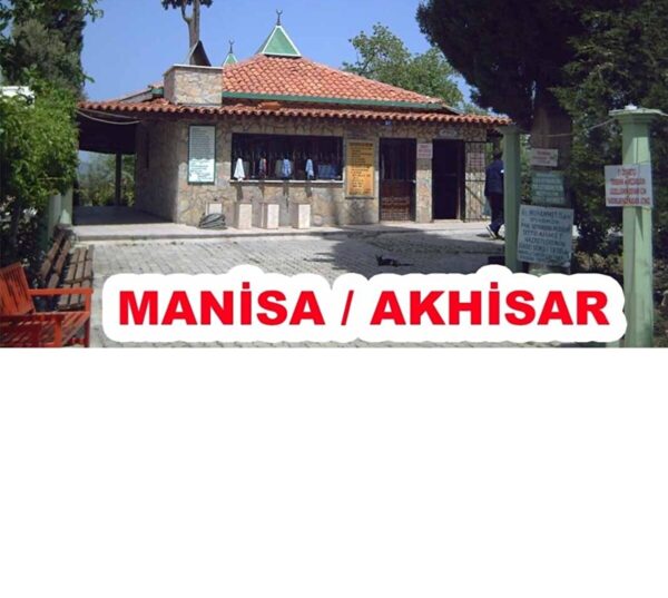 Andız Otu Akhisar Dallı Yapraklı, Yapışkan - Hakiki Doğal - Görsel 4